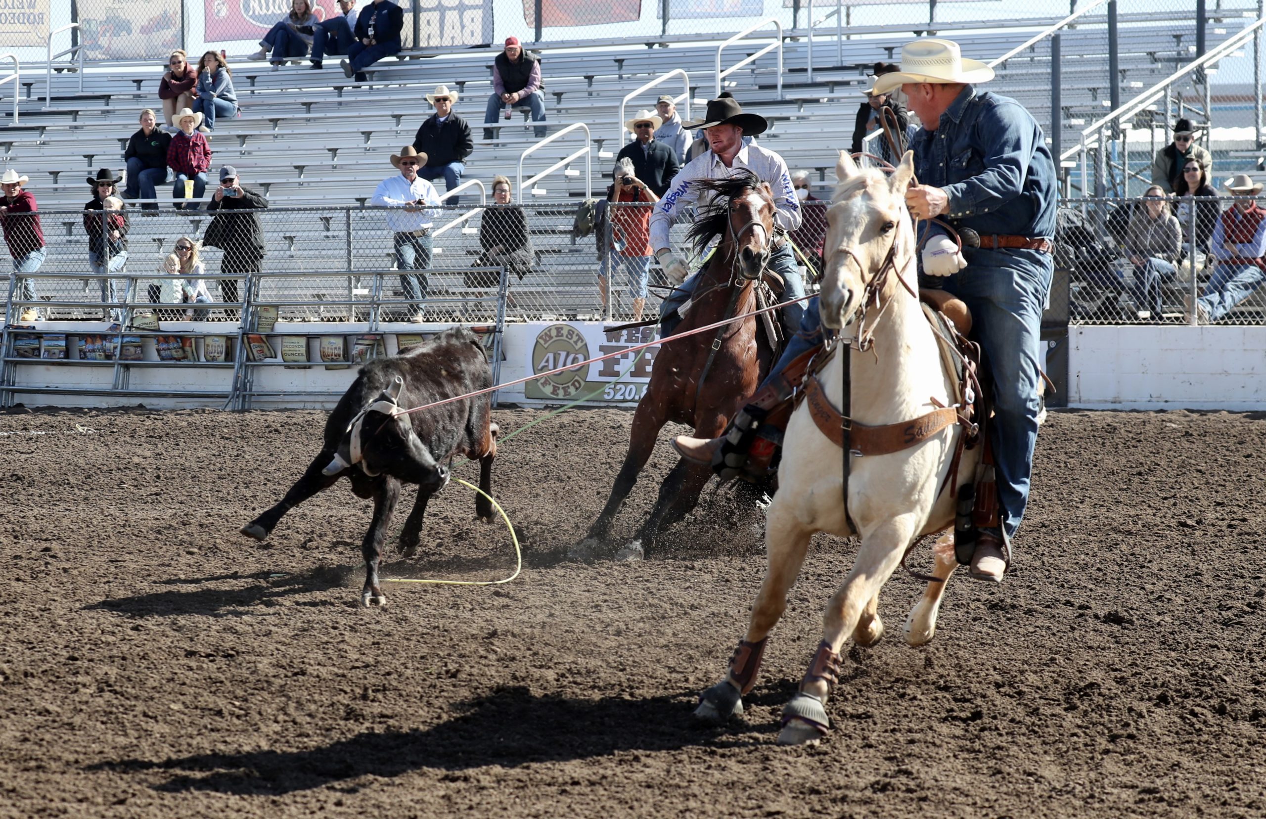Team Ropers In Arena
