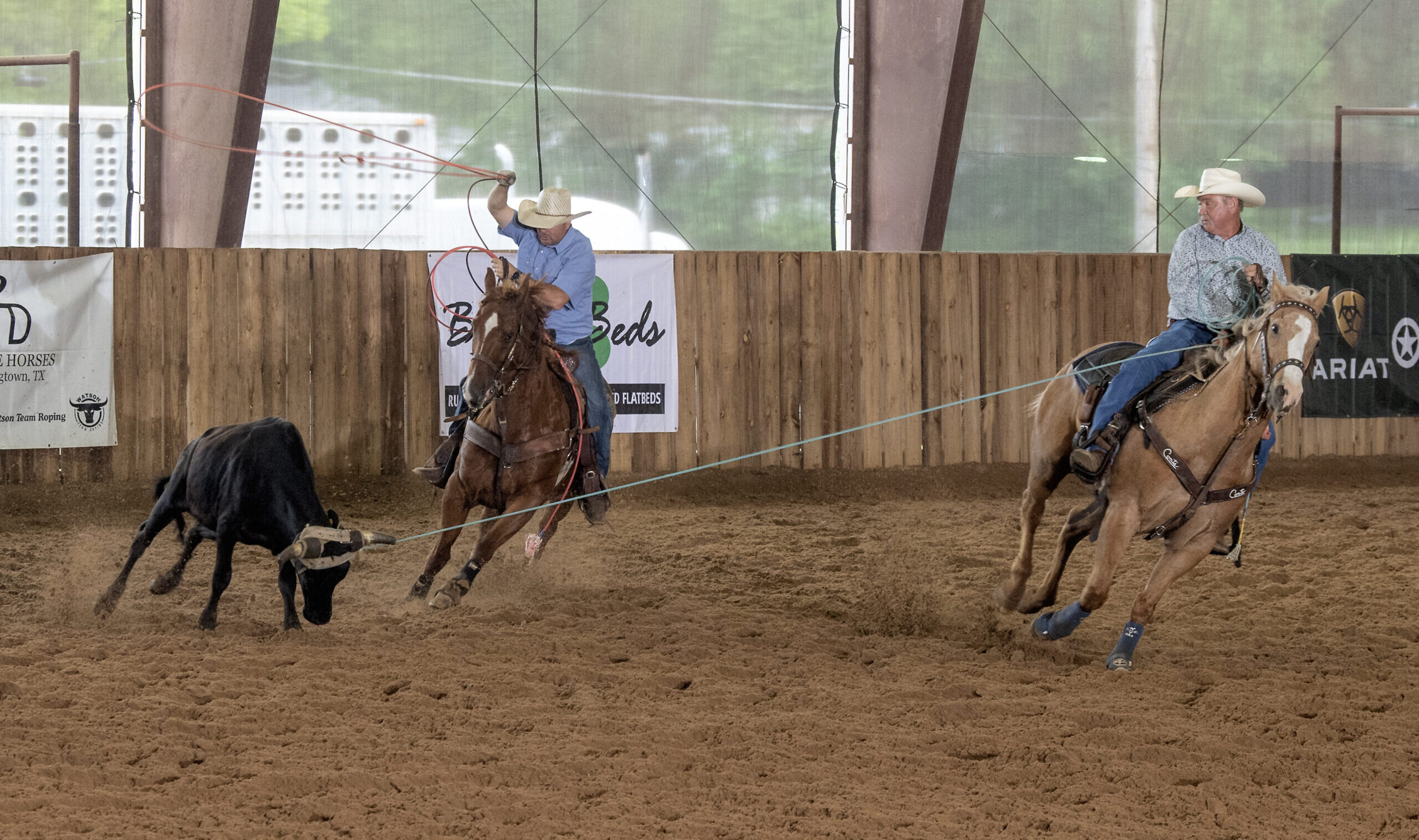 Team ropers at a jackpot roping.
