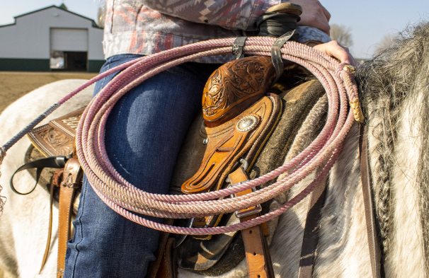 team roper on a horse in the arena
